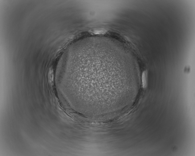 X0000111191443200907151337