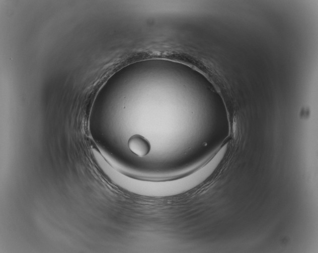 X0000111191444200907151337