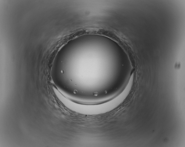 X0000111191445200907151337