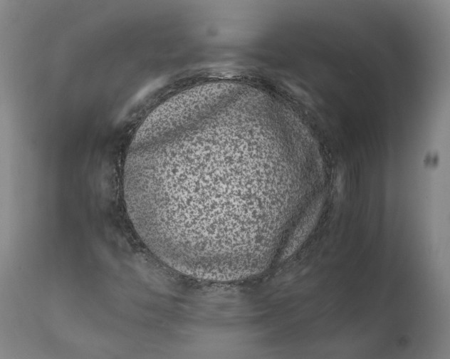 X0000111191446200907151337