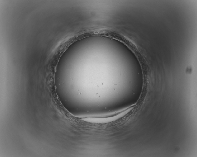 X0000111191447200907151337