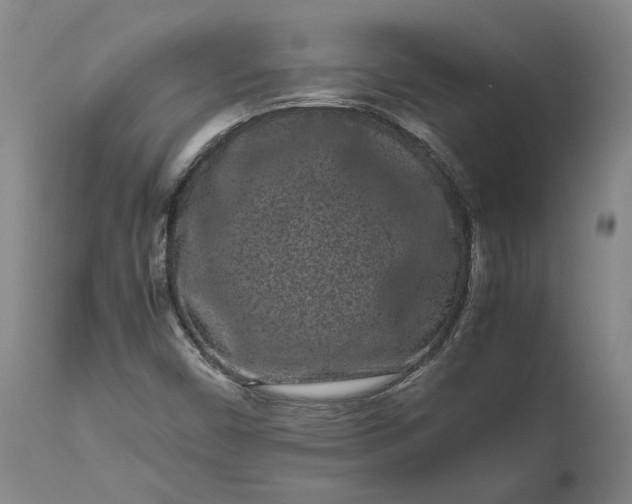 X0000111191450200907151337