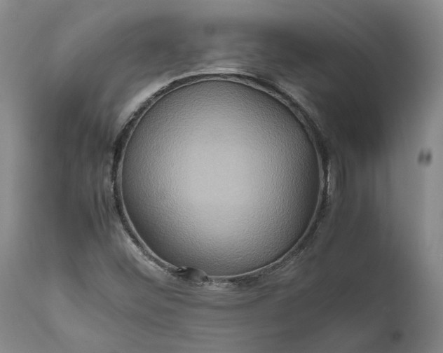 X0000111191452200907151337