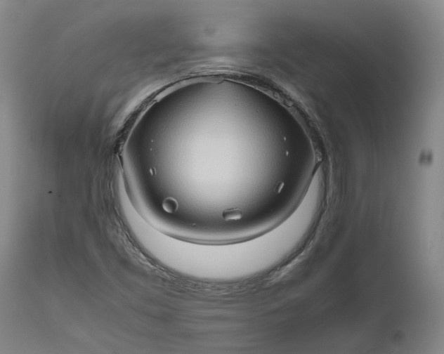 X0000111191453200907151337