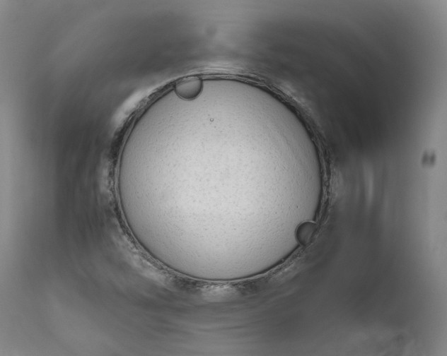 X0000111191454200907151337