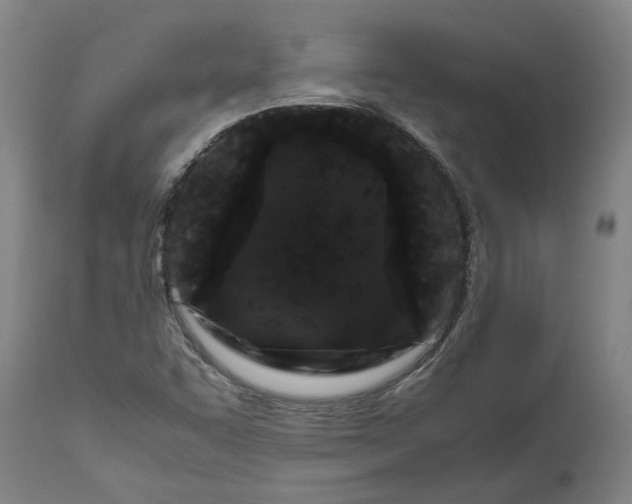 X0000111191455200907151337