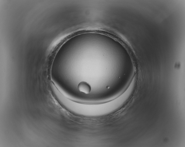 X0000111191456200907151337