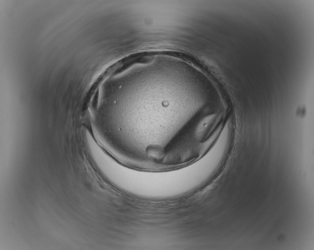 X0000111191457200907151337