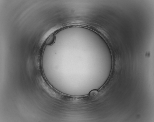 X0000111191458200907151337