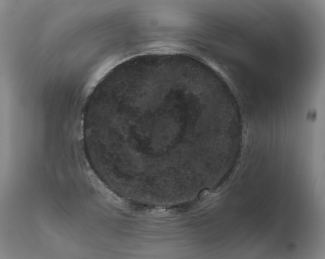 X0000111191459200907151337