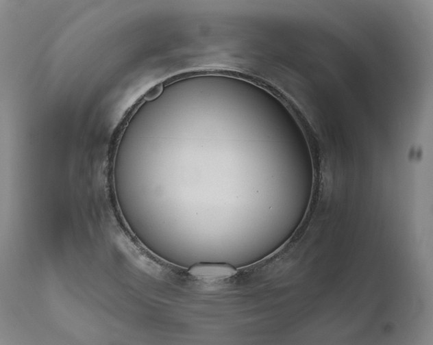 X0000111191460200907151337