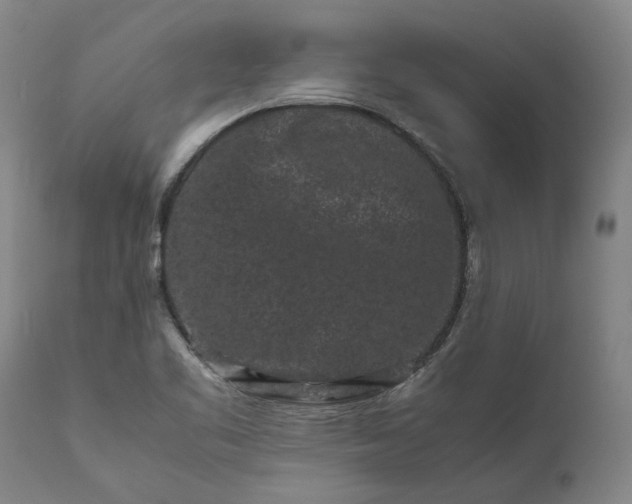 X0000111191461200907151337