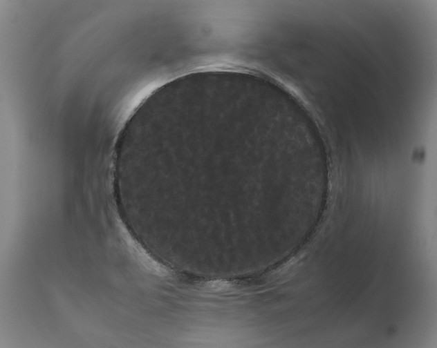 X0000111191463200907151337