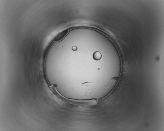 X0000111191464200907151337