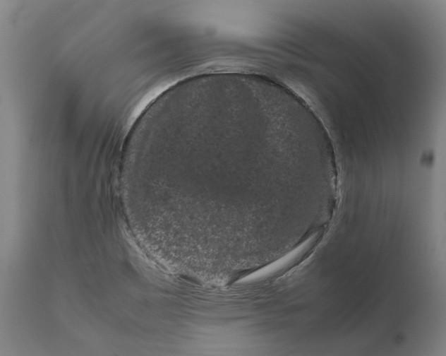 X0000111191465200907151337