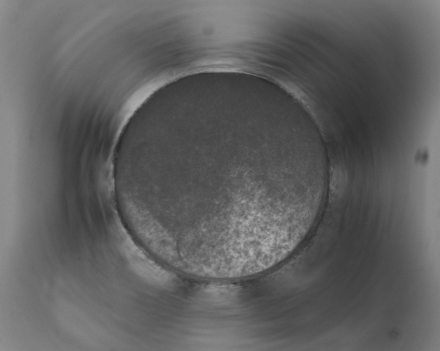 X0000111191466200907151337