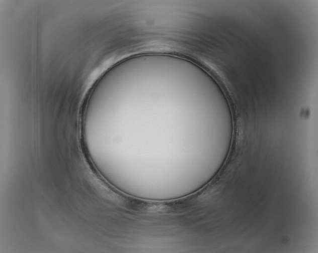 X0000111191467200907151337