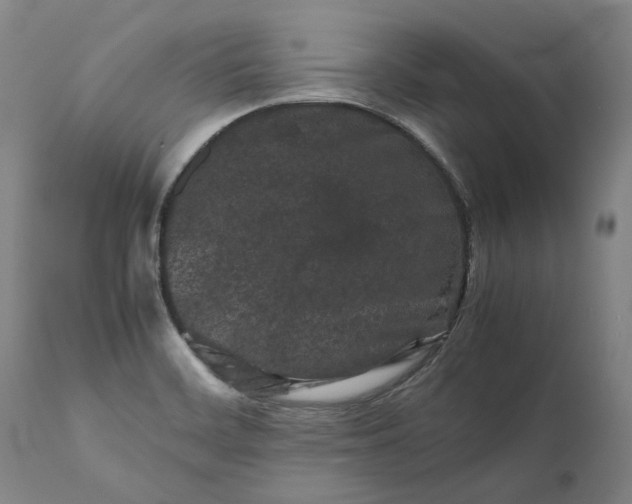 X0000111191468200907151337