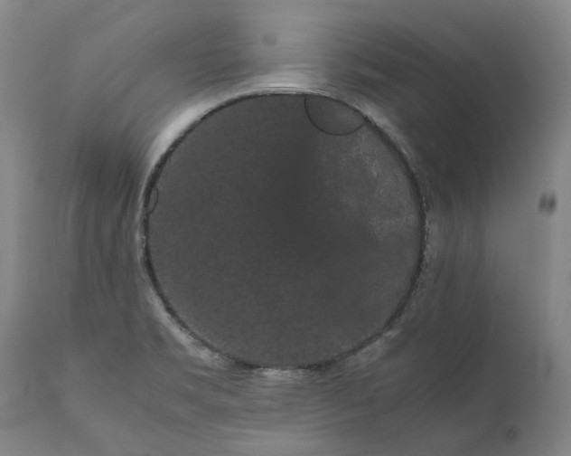 X0000111191469200907151337