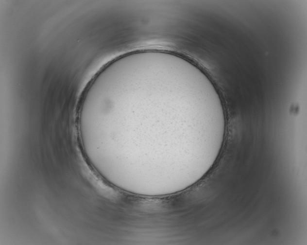 X0000111191470200907151337