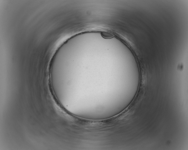 X0000111191471200907151337