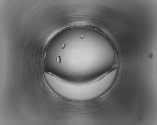 X0000111191473200907151337