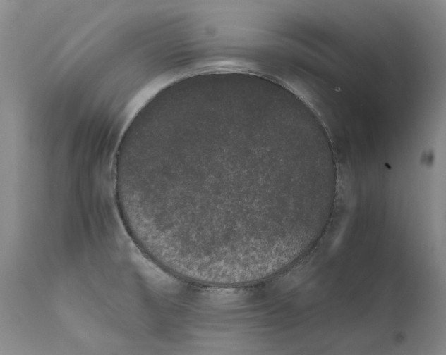 X0000111191474200907151337