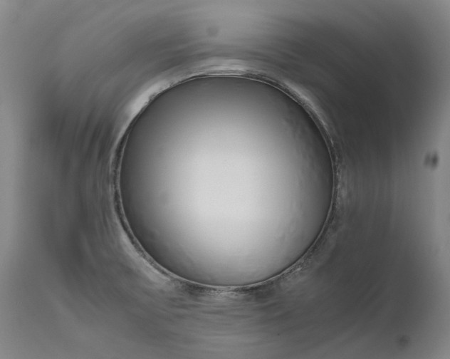 X0000111191475200907151337