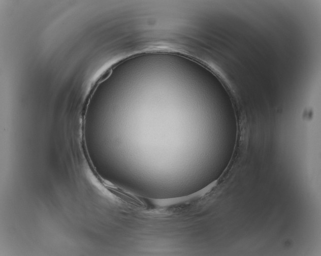 X0000111191476200907151337