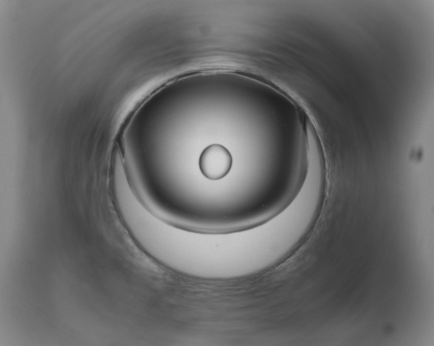 X0000111191477200907151337