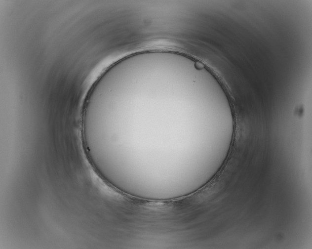 X0000111191478200907151337