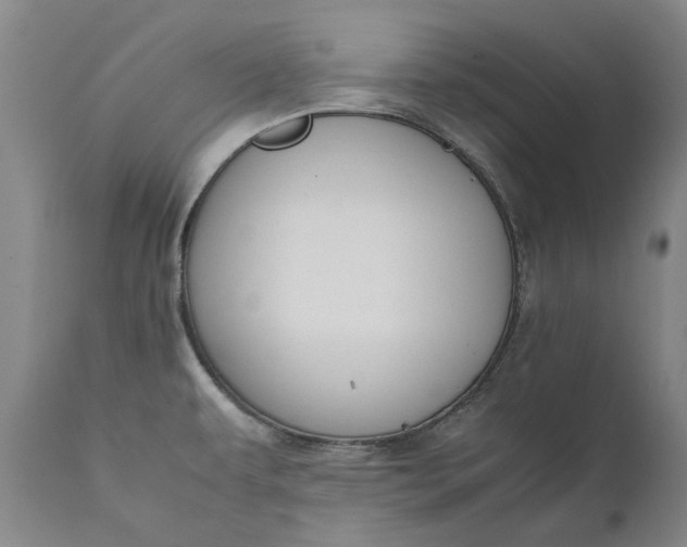 X0000111191479200907151337