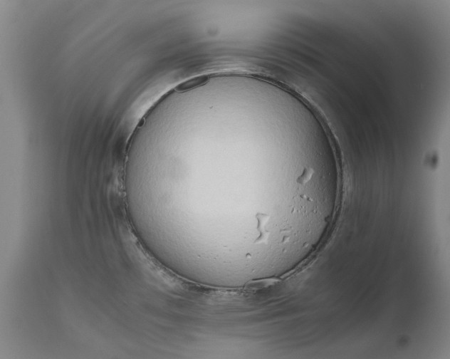 X0000111191481200907151336