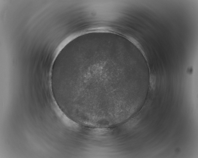 X0000111191482200907151336