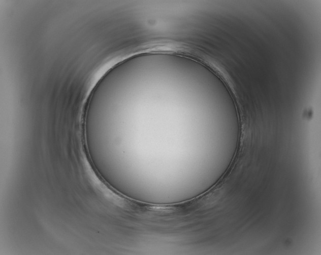 X0000111191483200907151336