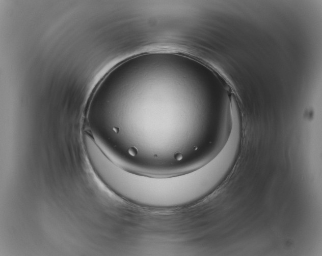 X0000111191484200907151336