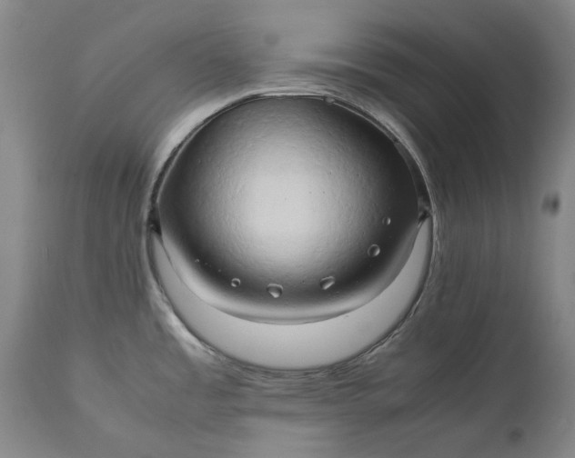 X0000111191485200907151336