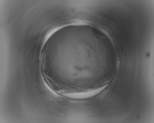 X0000111191487200907151336