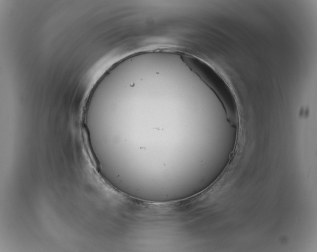 X0000111191488200907151336