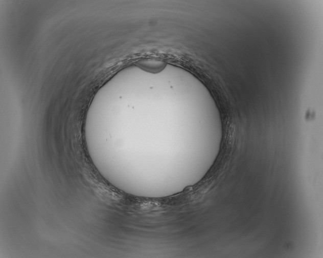 X0000111191489200907151336