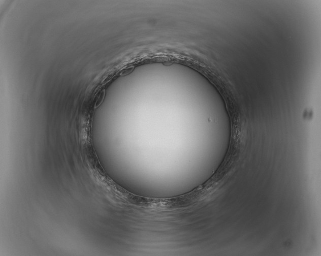 X0000111191490200907151336