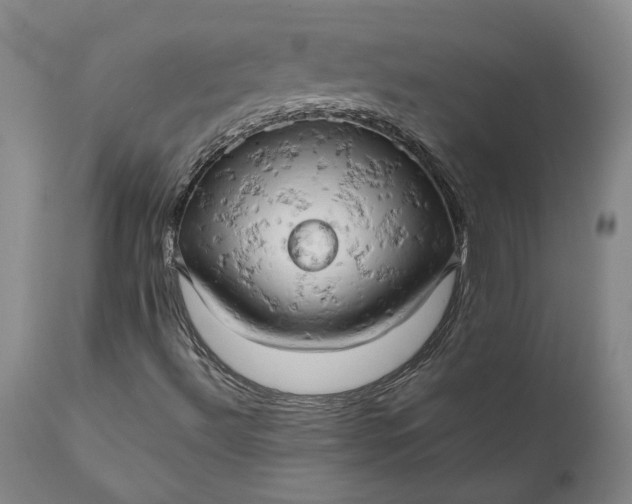 X0000111191492200907151336