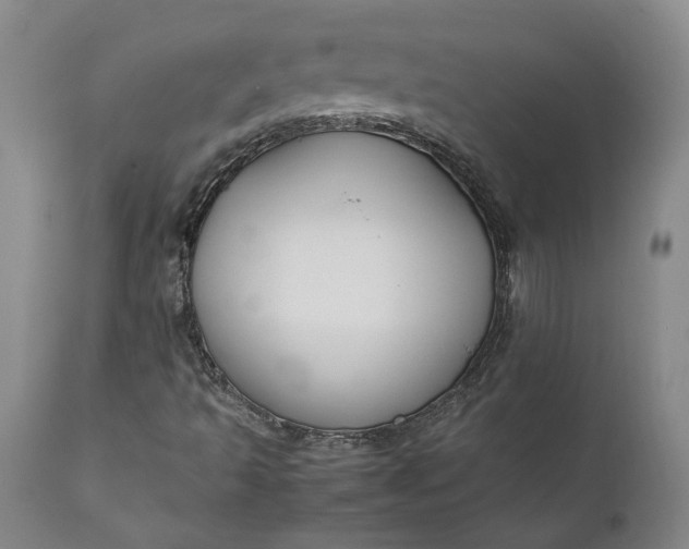 X0000111191493200907151336