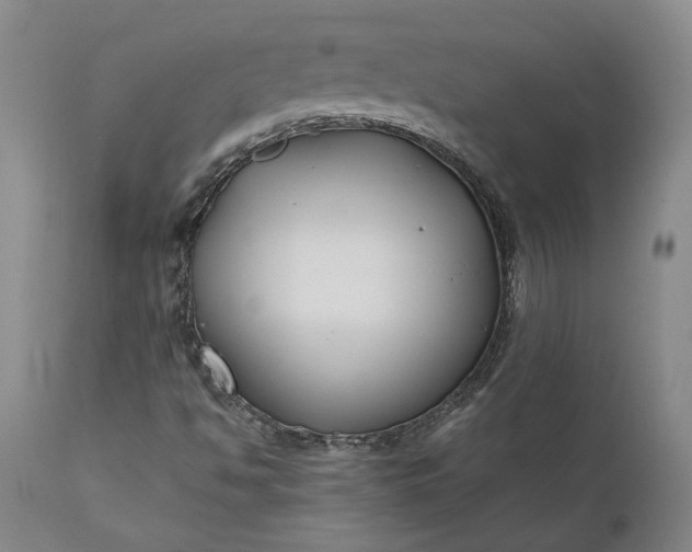 X0000111191494200907151336