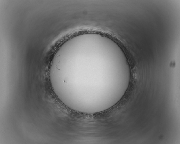 X0000111191495200907151336