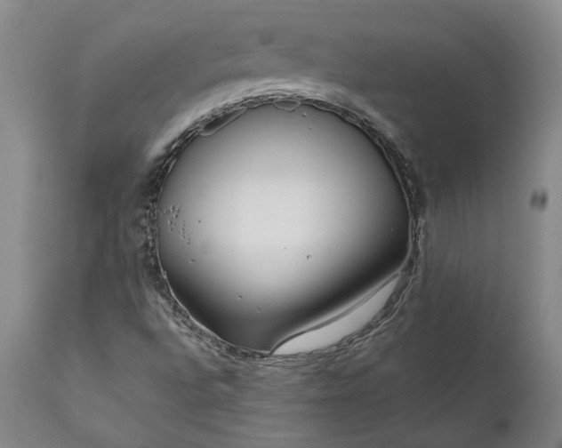 X0000111191496200907151336