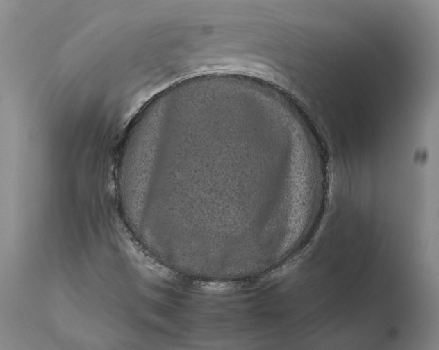 X0000111191497200907151336