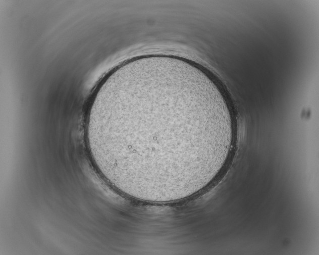 X0000111191498200907151336