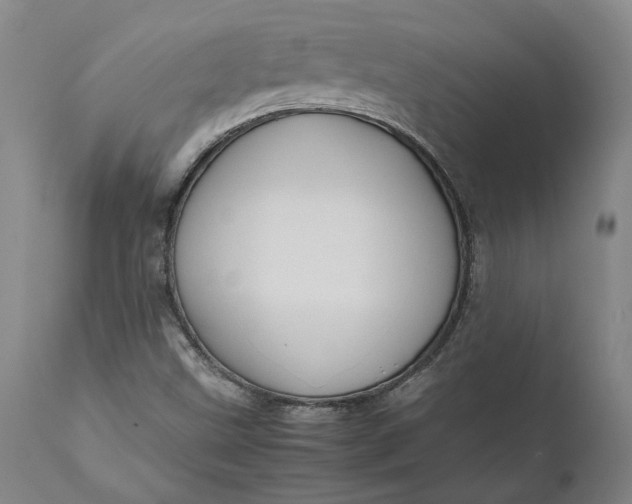 X0000111191499200907151336