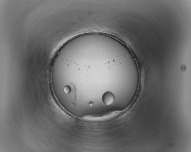 X0000111191500200907151336